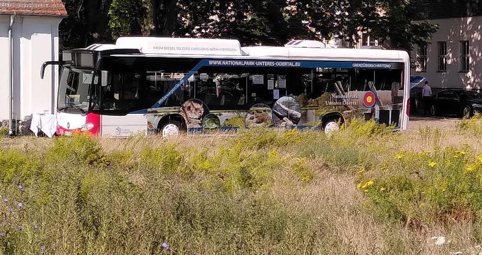 Sieht unscheinbar aus, ist aber (noch) ein echter Exot: der mit Wasserstoff betriebene Bus im Nationalpark Unteres Odertal.